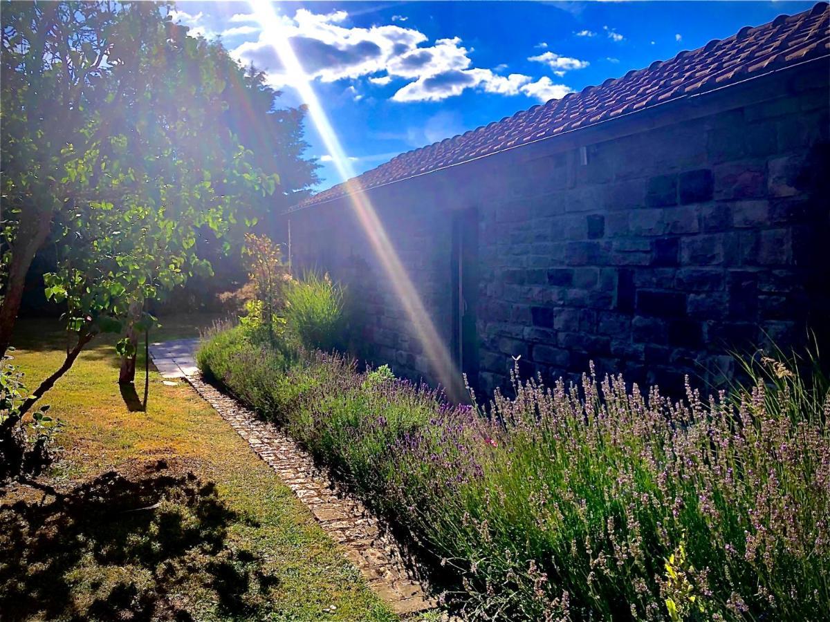 Out & Lodge Les Spirous Les Géronsarts Dış mekan fotoğraf